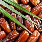 چه زمانی خرما را رطب و چه زمانی خشک مصرف کنیم؟
